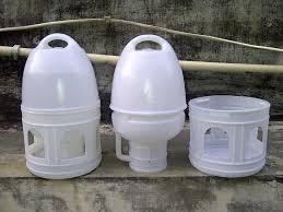 Pigeons imported 5 liters drinker SA